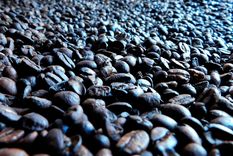 El café helado es café enfriado con hielo. El café preparado en frío, por otro lado, es café preparado a una temperatura fría. Foto: Pixabay