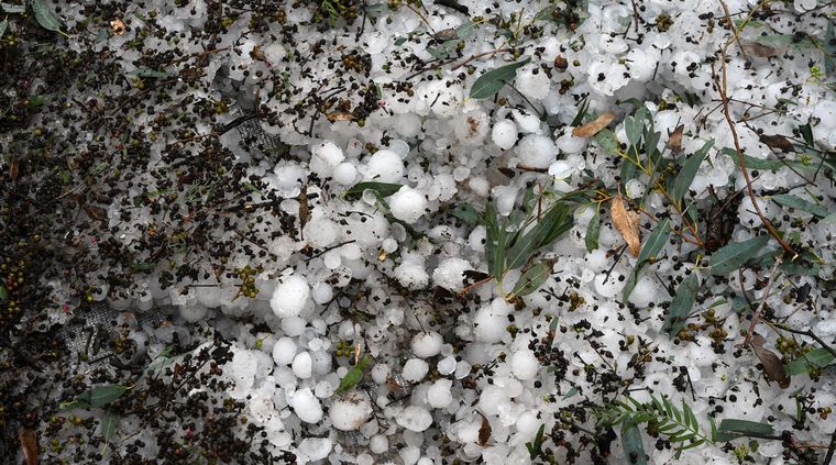 Las tormentas podrían estar acompañadas de caída de granizo Foto: ALF PONCE MERCADO / MDZ