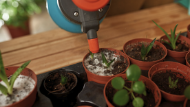 Estos abonos líquidos no solo curan las plantas, sino también las hace crecer fuertes y sanas Foto: Shutterstock