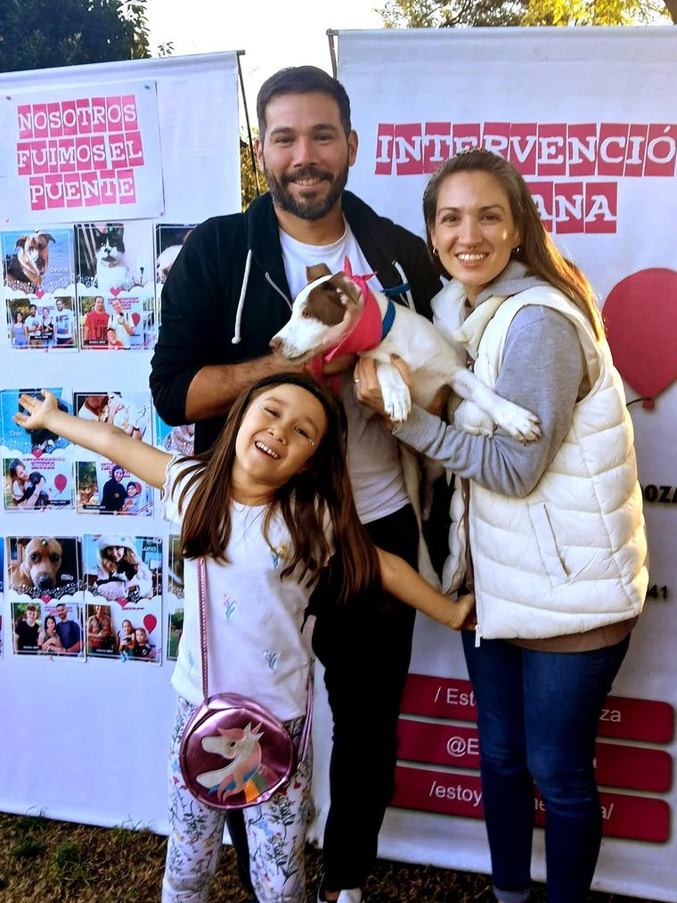 Cada sábado, perros y gatos son adoptados por familias mendocinas. Foto de Instagram @estoyaquimendoza Cada sábado, perros y gatos son adoptados por familias mendocinas. Foto de Instagram @estoyaquimendoza