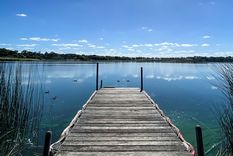 La laguna La Brava es uno de los espejos de agua que hay que descubrir en Buenos Aires Foto: Ruta Natural