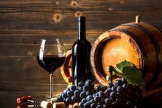 Un vino compartido en un asadito con esa persona que hasta ayer nomás era casi unadesconocida, puede quizá lograr convertirla en nuestra hermana del alma. Foto: MDZ