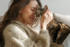 Mantén tus plantas a salvo de tu gatito con estos tips Foto: Shutterstock