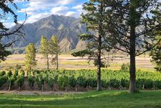 Una postal mendocina. Foto: Pixabay