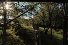 Estancia Grande es uno de los destinos más encantadores de San Luis