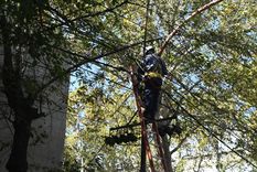La empresa anunció un corte de luz programado en distintos puntos de la provincia de Mendoza Foto: Edemsa