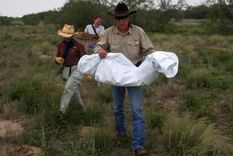 informado por mdz, el vaticano reacciono sobre ninos ilegales