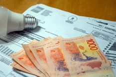 Edenor pide un incremento del 8% y Transener reclama una suba del 2%. Foto: Santiago Tagua/MDZ