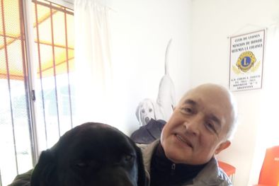 MDZol | Cala es una perra guía entrenada para ayudar a Carlos a sortear los obstáculos que se presentan en la cotidianidad