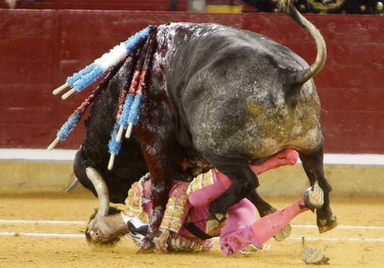 Juan José Padilla al momento de la corneada. Foto: efe