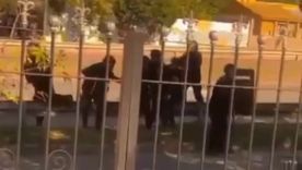 Un fuerte operativo realizado en Córdoba, en una jornada marcada por la tensión, tiros y caos, dejó por saldo a dos policías heridos.