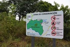 apuesta por la sustentabilidad: fuerte inversion de una empresa para proteger la selva en salta
