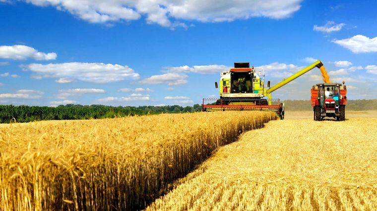 Las exportaciones de trigo argentino pueden verse beneficiadas. Foto: Cátedravícola.