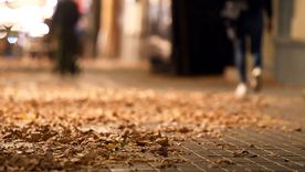 El Servicio Meteorológico Nacional (SMN) publicó el pronóstico trimestral para otoño con estimaciones sobre lluvias y temperaturas hasta mayo de 2026. El Servicio Meteorológico Nacional (SMN) publicó el pronóstico trimestral para otoño con estimaciones sobre lluvias y temperaturas hasta mayo de 2026.