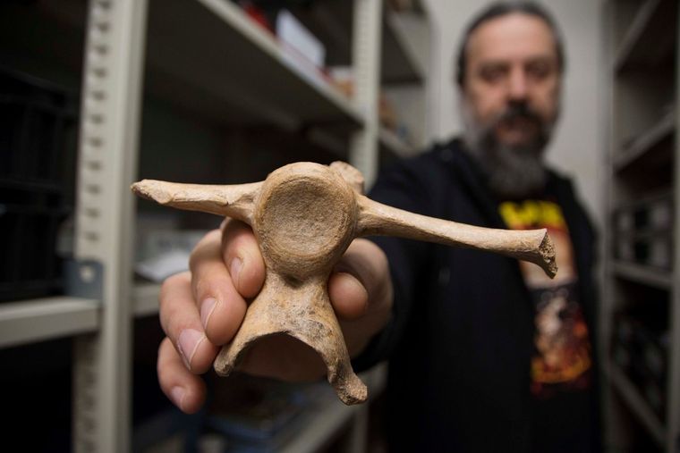 Un equipo de investigadores confirmó que la presencia de humanos y su interacción con megafauna en la región se dio mucho tiempo antes de lo que la ciencia creía hasta el momento. Foto: Universidad Nacional de La Plata