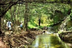 El sendero hacia Pozo Verde es una verdadera aventura en la naturaleza.