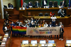 el congreso en chile aprobo la ley del matrimonio igualitario