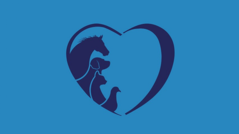 Test de personalidad