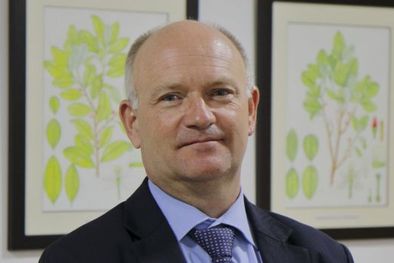 MDZol | Foto: BBC Mundo