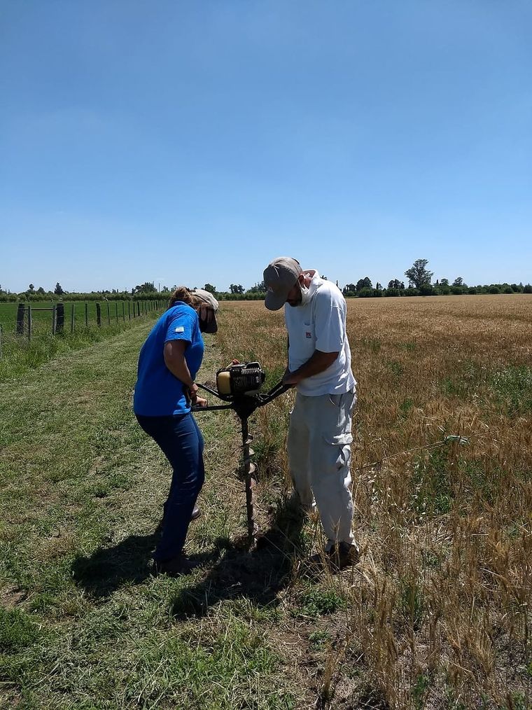 Foto: Facebook: Facebook/INTA Marcos Juárez