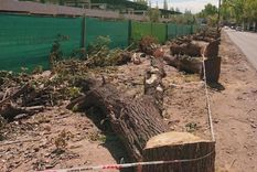 Así quedó la vereda sobre calle Viamonte, en Chacras.