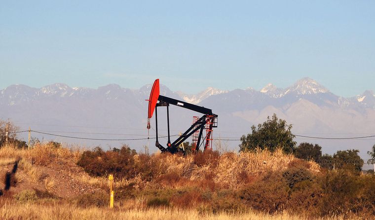 petroleo extraccion cigueña bombeo (11).JPG