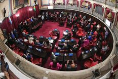 Sesión preparatoria para la jura de senadores electos y la elección de autoridades de la Cámara Alta bonaerense Foto: Prensa Senado de la provincia de Buenos Aires