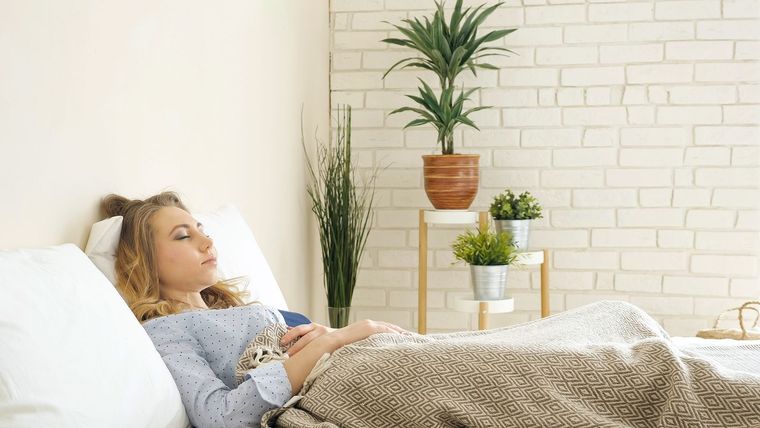 Mejora el descanso con plantas. Foto: Archivo