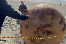 revelaron que era la misteriosa bola gigante que aparecio en japon