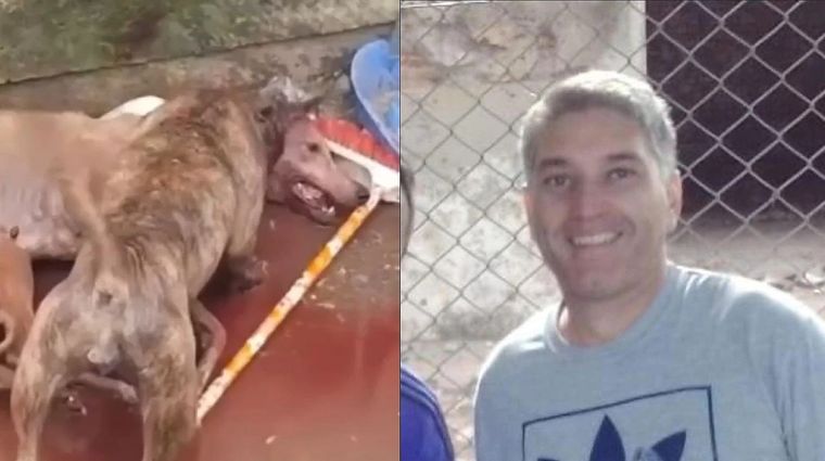 Luciano Manías entregaba perros desnutridos a su pitbull