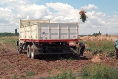 arrancan las capacitaciones para el programa reinventa