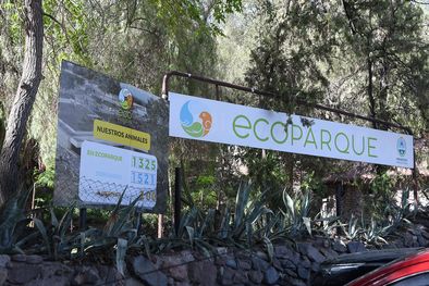 MDZol | ecoparque obras camellos animales (14)