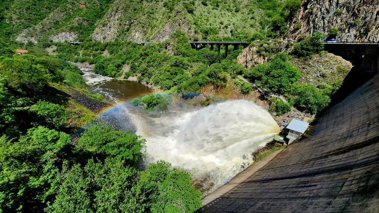 La cola de novia no se veía desde hace dos años Foto: X/@APRHI_CBA