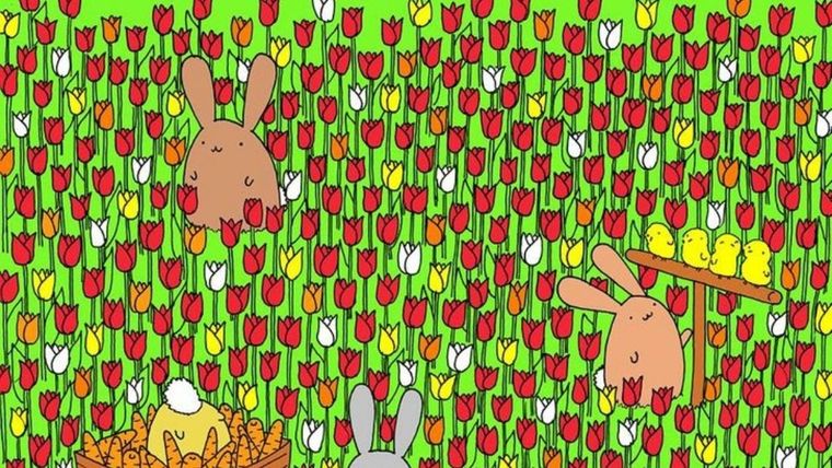 Acertijo visual, reto visual, huevo de pascua