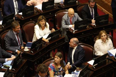 Ley de Glaciares: cómo votarán los senadores nacionales por Mendoza. Ley de Glaciares: cómo votarán los senadores nacionales por Mendoza.