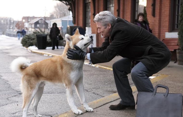 Netflix. Siempre a tu lado, Hachiko Netflix. Siempre a tu lado, Hachiko