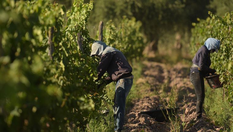 Las economías regionales en la cuerda floja. Un mapa complicado con realidades cambiantes Foto: Walter Moreno/Mdz