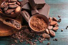 se viene un festival del chocolate en argentina para no perderse
