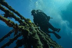 Muchos microorganismos marinos, algas e invertebrados se adhieren a superficies sumergidas duras y crecen sobre ellas.