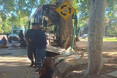 Foto: Ministerio de Seguridad de Mendoza Foto: Ministerio de Seguridad de Mendoza