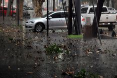 asi estara el domingo: amanecio con lluvia pero mejorara hacia la tarde