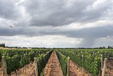 El viernes estará marcado por el regreso de las tormentas en Mendoza.