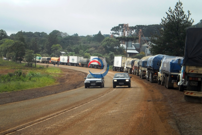 MDZol | bernardo de irigoyen