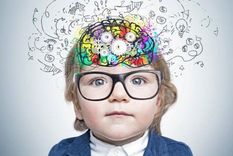 La infancia, es un período sensible en el que la plasticidad cerebral es altamente mayor, y ésta es fundamental para el aprendizaje.