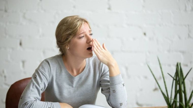 Y allí, con su mirada nebulosa, en el rincón literario de esta semana. Foto: MDZ