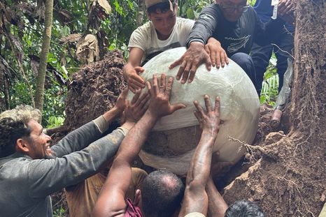 Siete urnas funerarias fueron descubiertas bajo las raíces de un árbol caído en la región de várzea de Lago do Cochila. El descubrimiento aporta nuevas evidencias sobre la ocupación ancestral en la Amazonía.