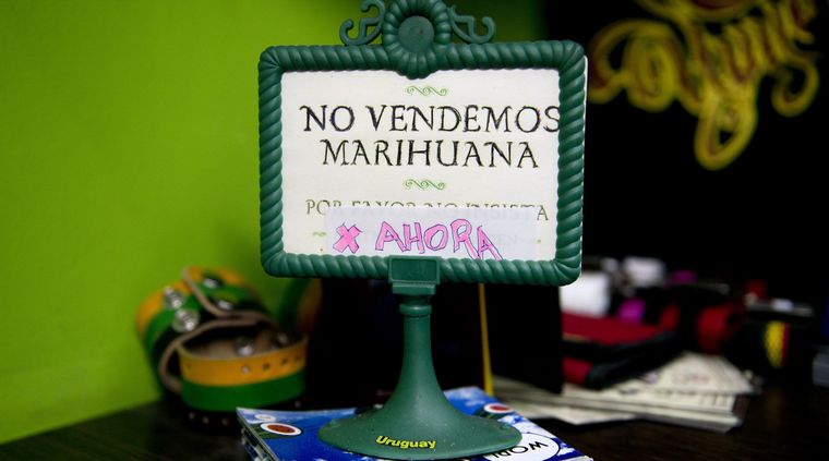 Foto: The Associated Press