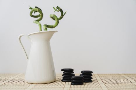 Una planta que equilibra las energías (bambú). Fuente: Freepik. Una planta que equilibra las energías (bambú). Fuente: Freepik.