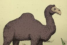 Acertijo visual, reto visual, jinete