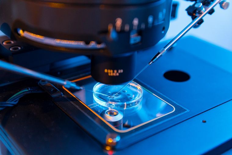 Los avances tecnológicos pueden ser un gran aliado de la fertilidad. Foto: Shutterstock